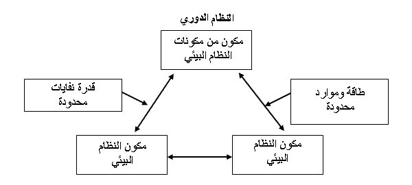 ميكيل ريغولا الإنتاج الأنظف